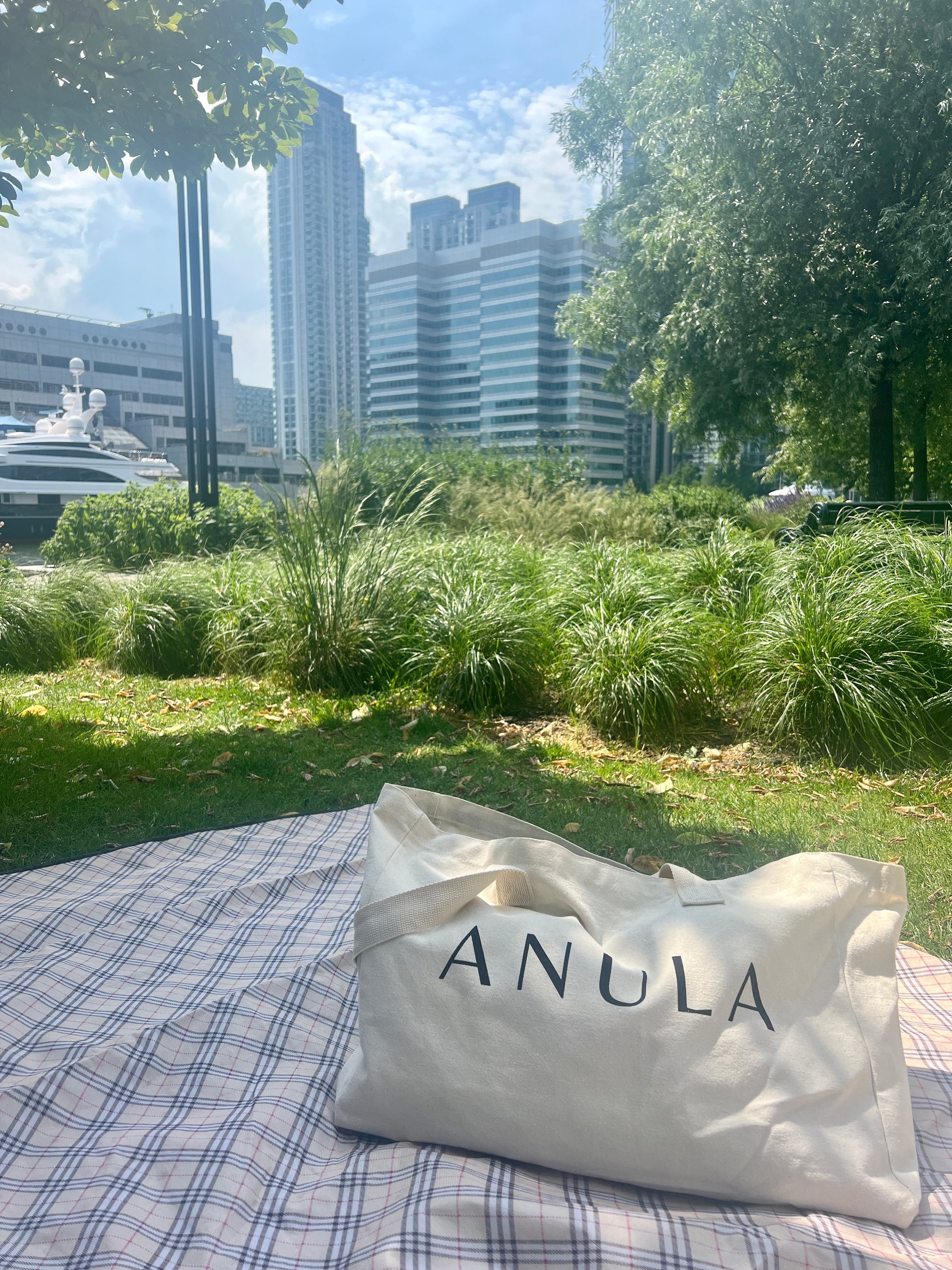 ANULA tote bag on picnic rug with grass and cityscape behind